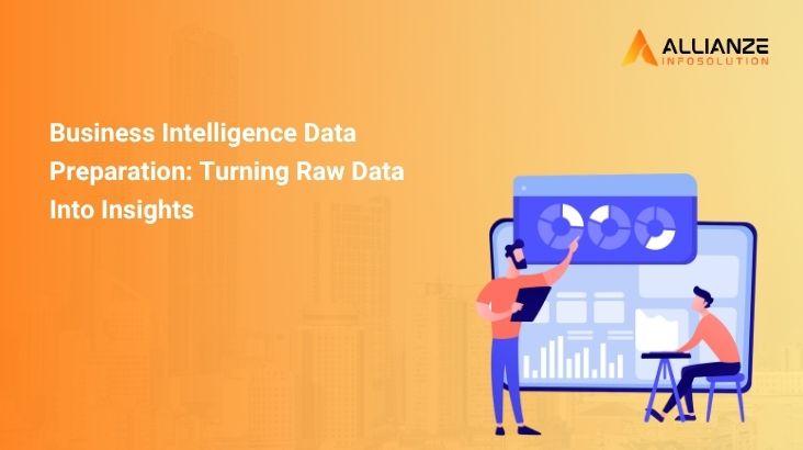 Business Intelligence Data Preparation